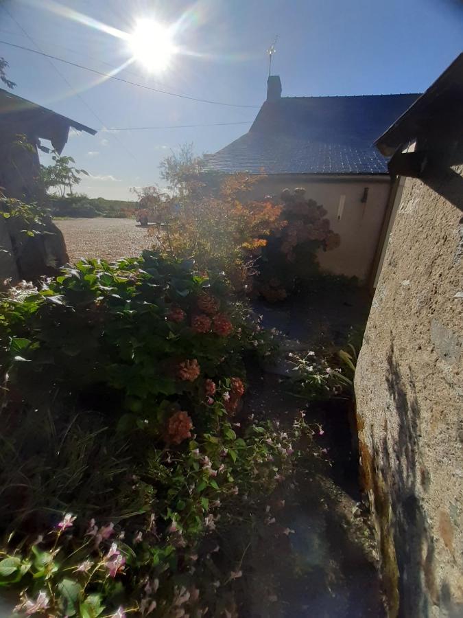 Maison A La Campagne - Piscine Beaulieu-sur-Layon Buitenkant foto